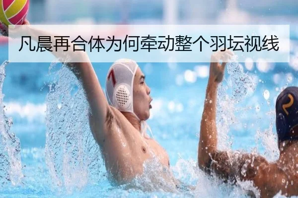 凡晨再合体为何牵动整个羽坛视线
